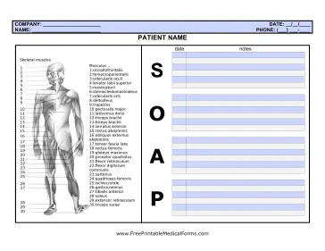 SOAP Note with Body Medical Form