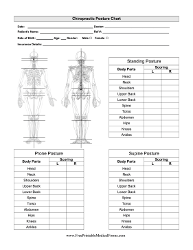 Chiropractor Posture Chart Medical Form