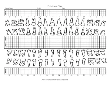 Periodontal Chart Medical Form