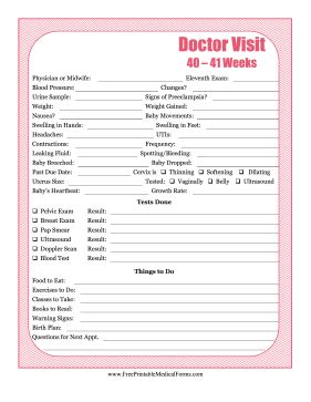 Pregnancy Journal 11 Medical Form
