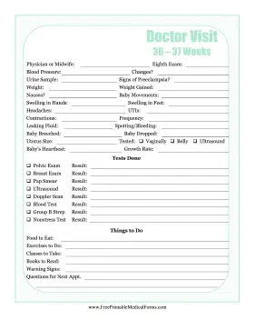 Pregnancy Journal 8 Medical Form