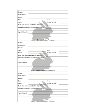 Rabbit Adoption 3x5 Cage Card Medical Form