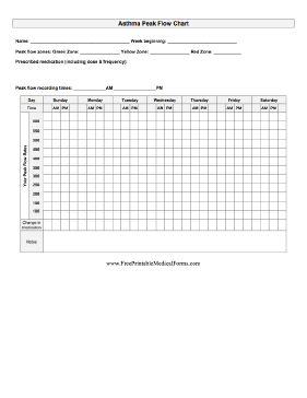 Asthma Peak Flow Chart Medical Form