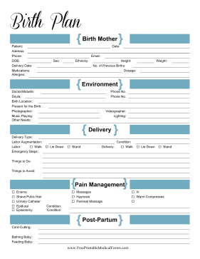 Birth Plan Colorful Medical Form