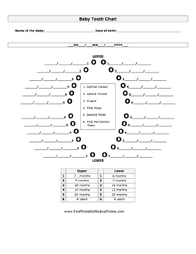 Baby Tooth Chart Medical Form